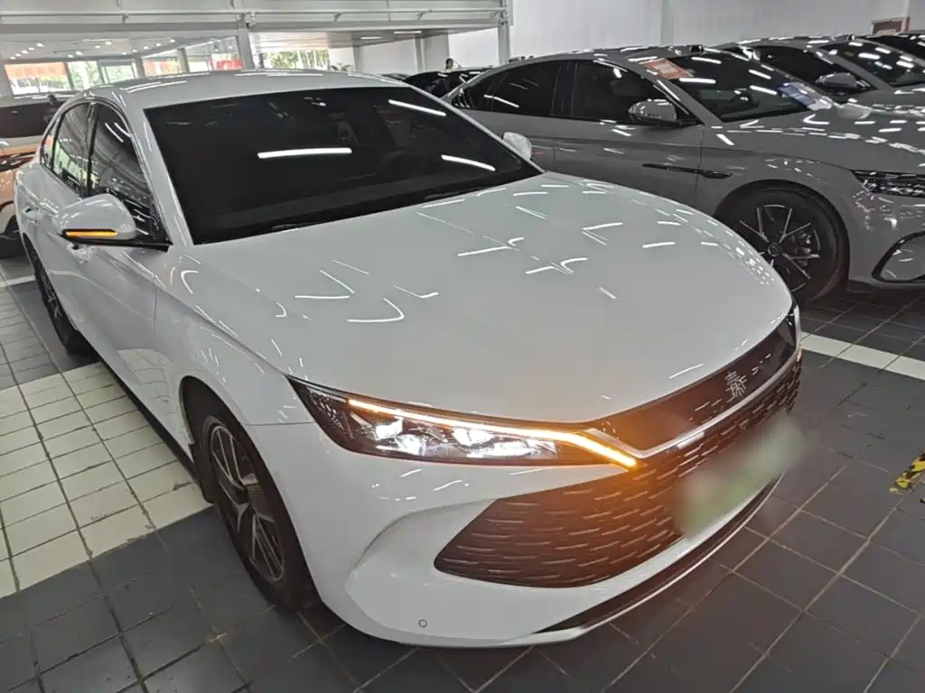 Qin L DM-i 80 KM Transcend
