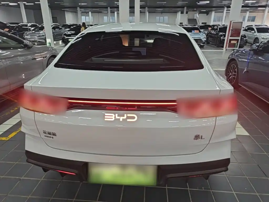 Qin L DM-i 80 KM Transcend
