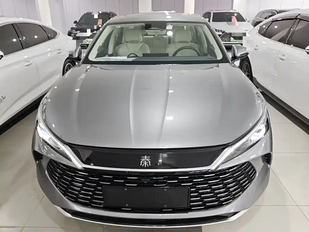 Qin L DM-i 120 KM Transcend