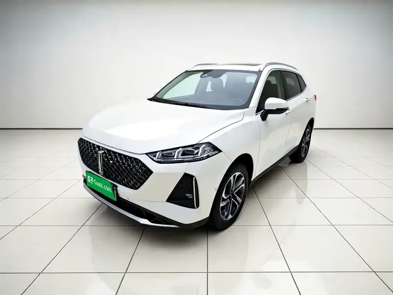 WEY 玛奇朵DHT-PHEV 玛奇朵DHT-PHEV 2021款 1.5 L 大师版