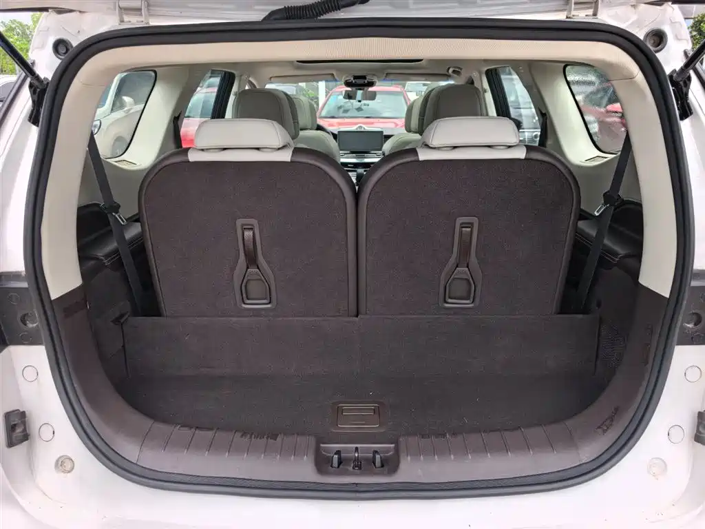 Jiaji 1.5 TD MHEV DCT Premium