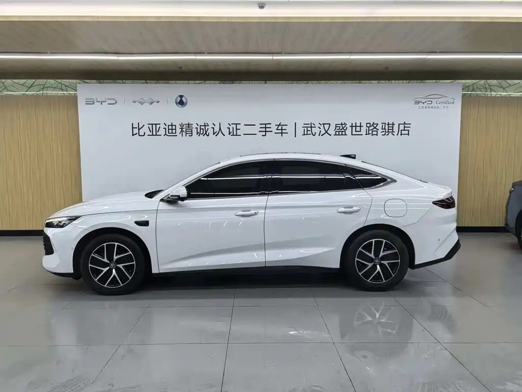 Qin L DM-i Smart Drive 120 KM Leading