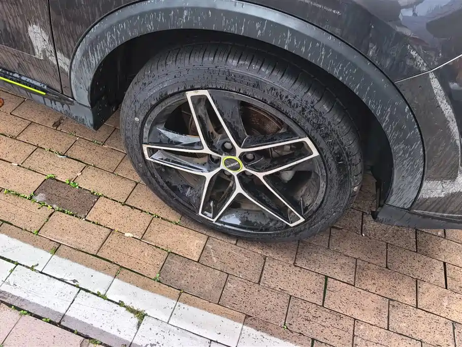 Roewe RX5 PLUS 330 TGI Auto China Style Smart Enjoyment
