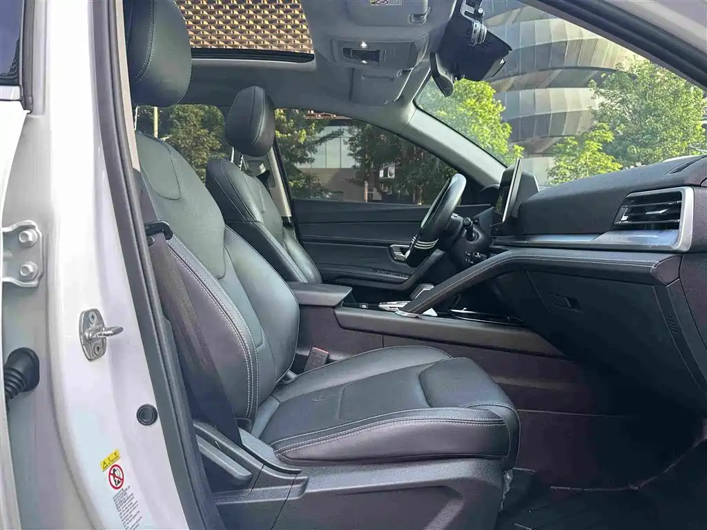 Song Pro 1.5 T Auto Distinguished