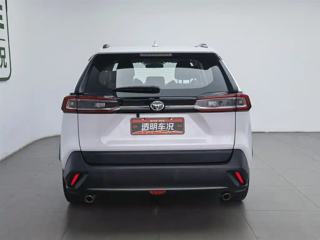 Wildlander 2.0 L CVT 2 WD Leading