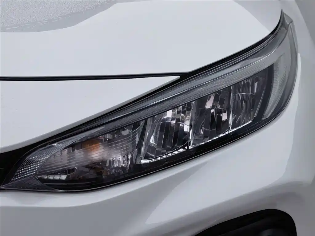 Wildlander 2.0 L CVT 2 WD Leading
