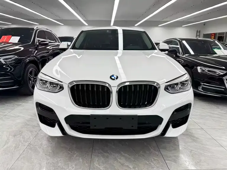BMW X4 xDrive 25 i M Sport Package