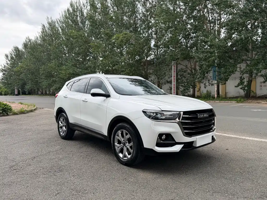 Haval H6 China Style 1.5 T Auto Champion