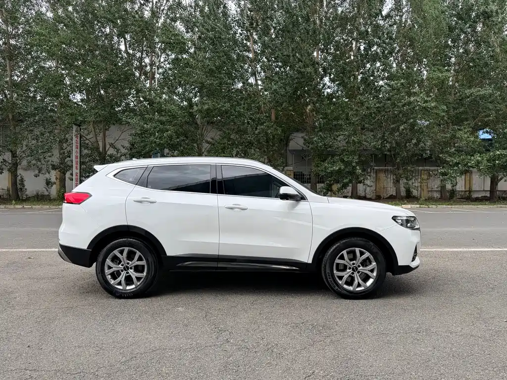 Haval H6 China Style 1.5 T Auto Champion