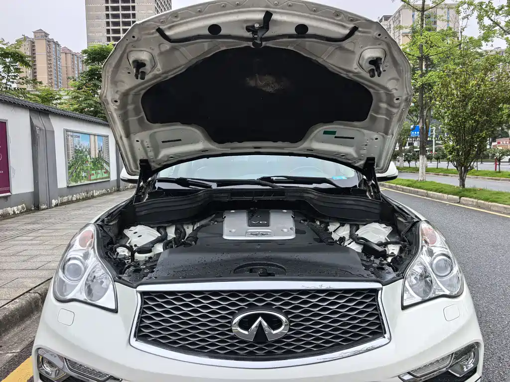 Infiniti QX50 2.5 L Joy