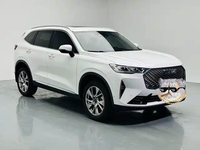 Haval H6 3 rd Gen 1.5 T Auto 2 WD Pro