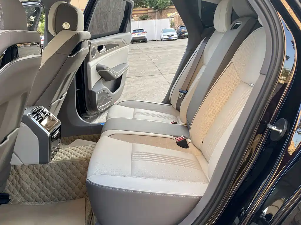 Hongqi H9 2.0 T Connected Flagship Enjoyment