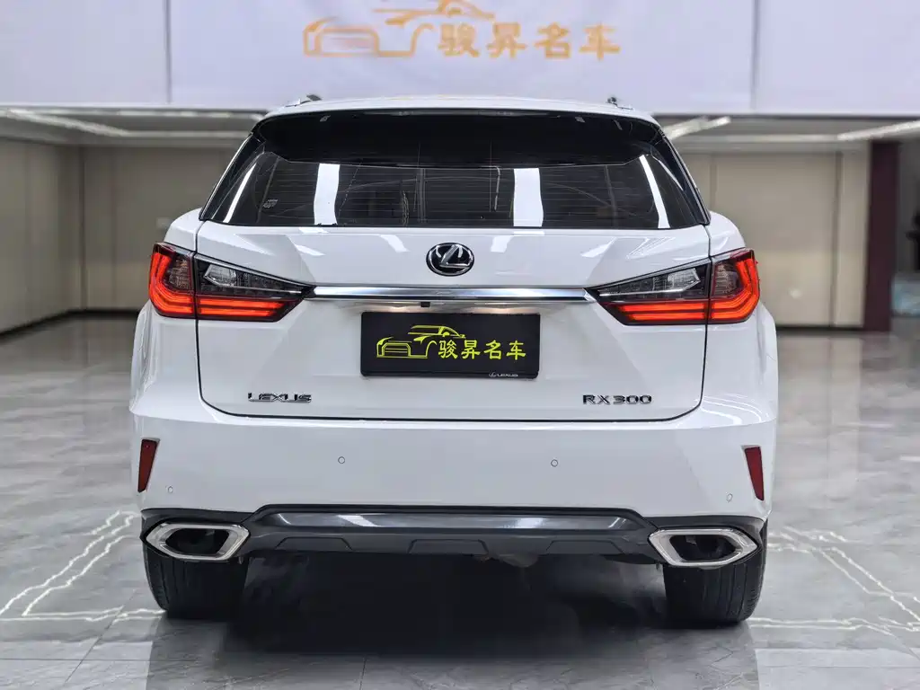 Lexus RX 雷克萨斯RX 2016款 300 两驱精英版 国VI