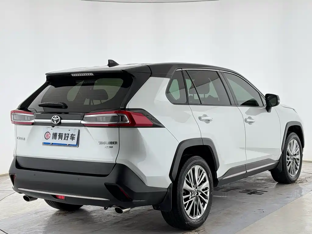 Wildlander 2.0 L CVT 4 WD Distinguished