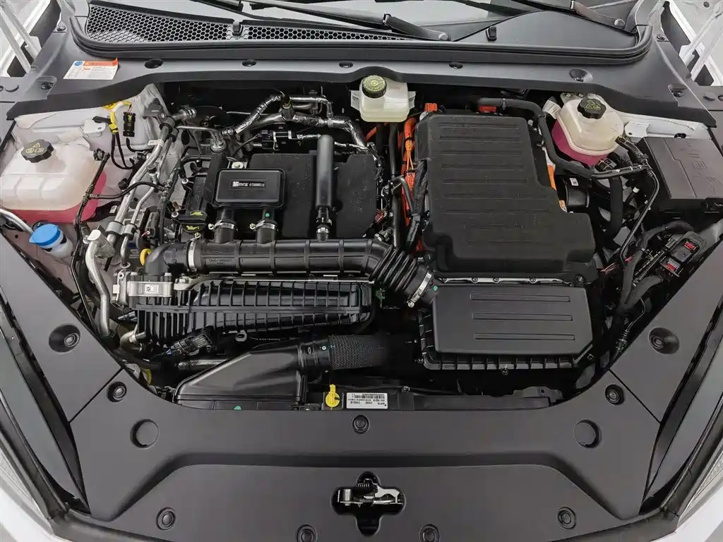 Seal 06 DM-i 80 KM Luxury