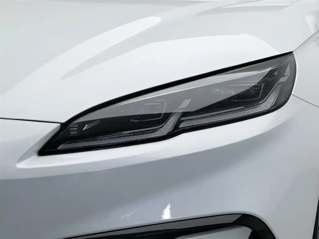 Seal 06 DM-i 80 KM Luxury