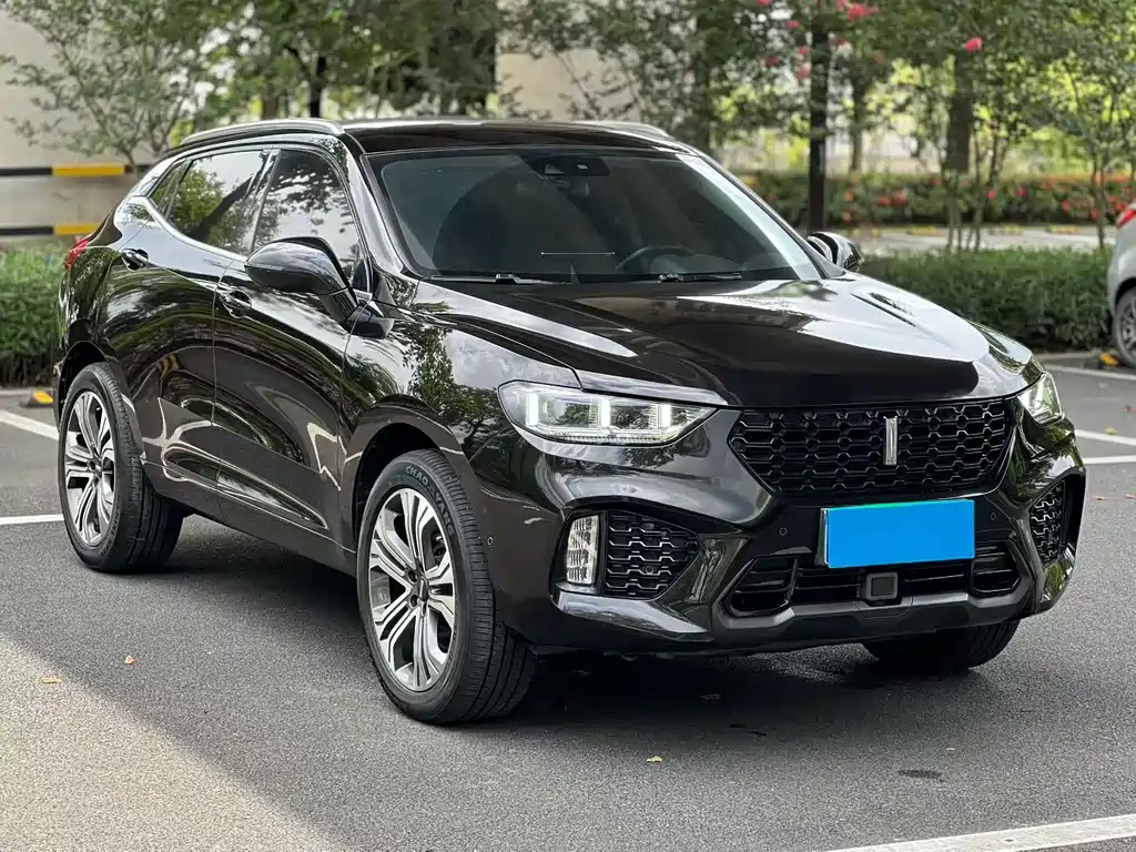 WEY VV5 2.0 T Flagship