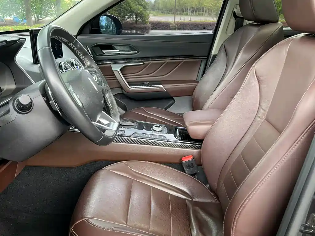 WEY VV5 2.0 T Flagship