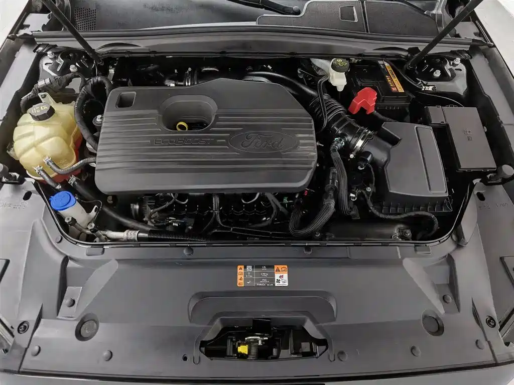 Taurus EcoBoost 245 Joy