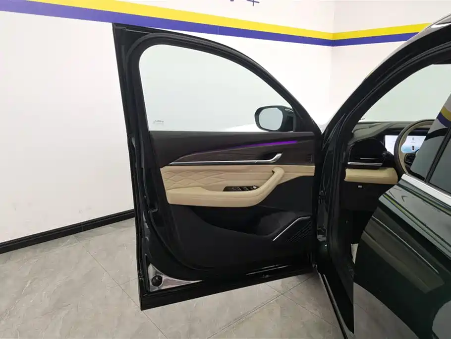 Xingyue L Oriental Shine 2.0 TD Auto 4 WD Moon Gaze