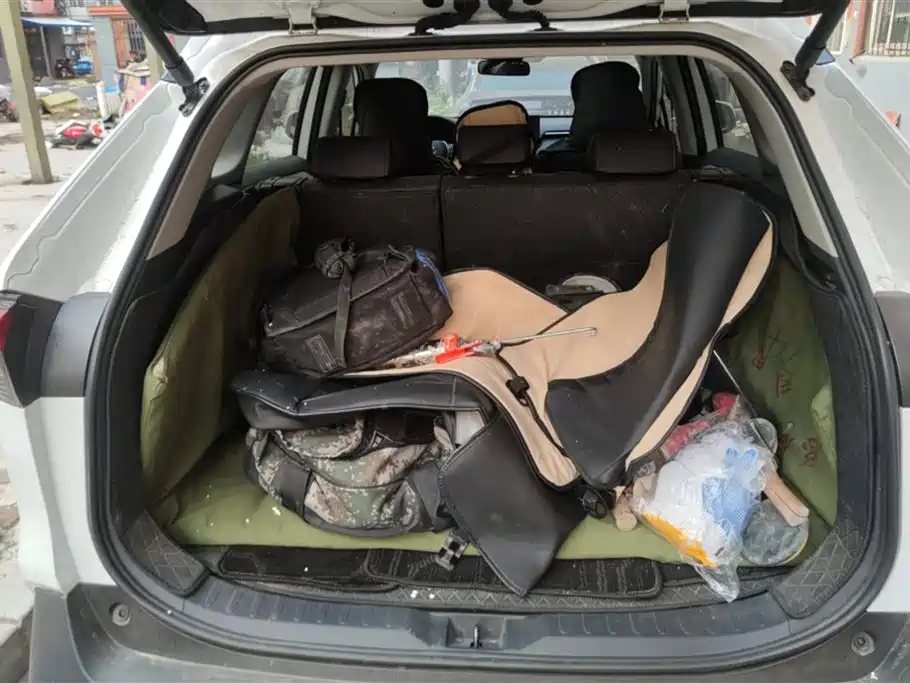 RAV4 2.0 L CVT 2 WD Style Plus