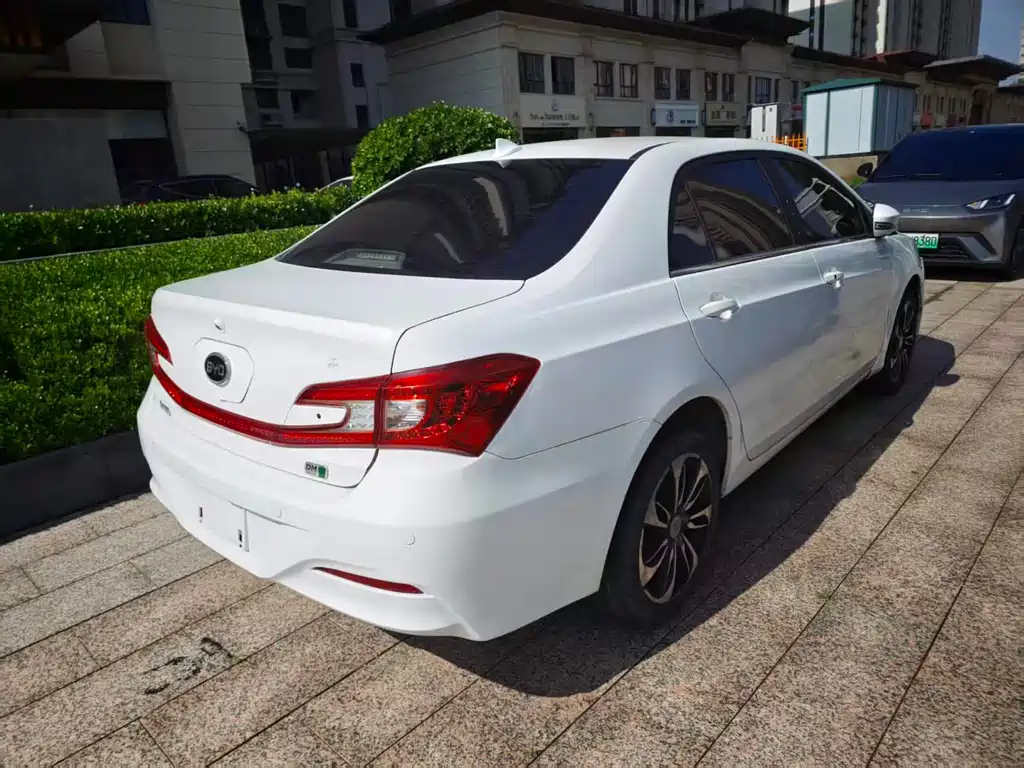 Qin NEV 1.5 T Dual Crown Flagship