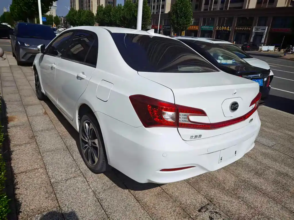 Qin NEV 1.5 T Dual Crown Flagship