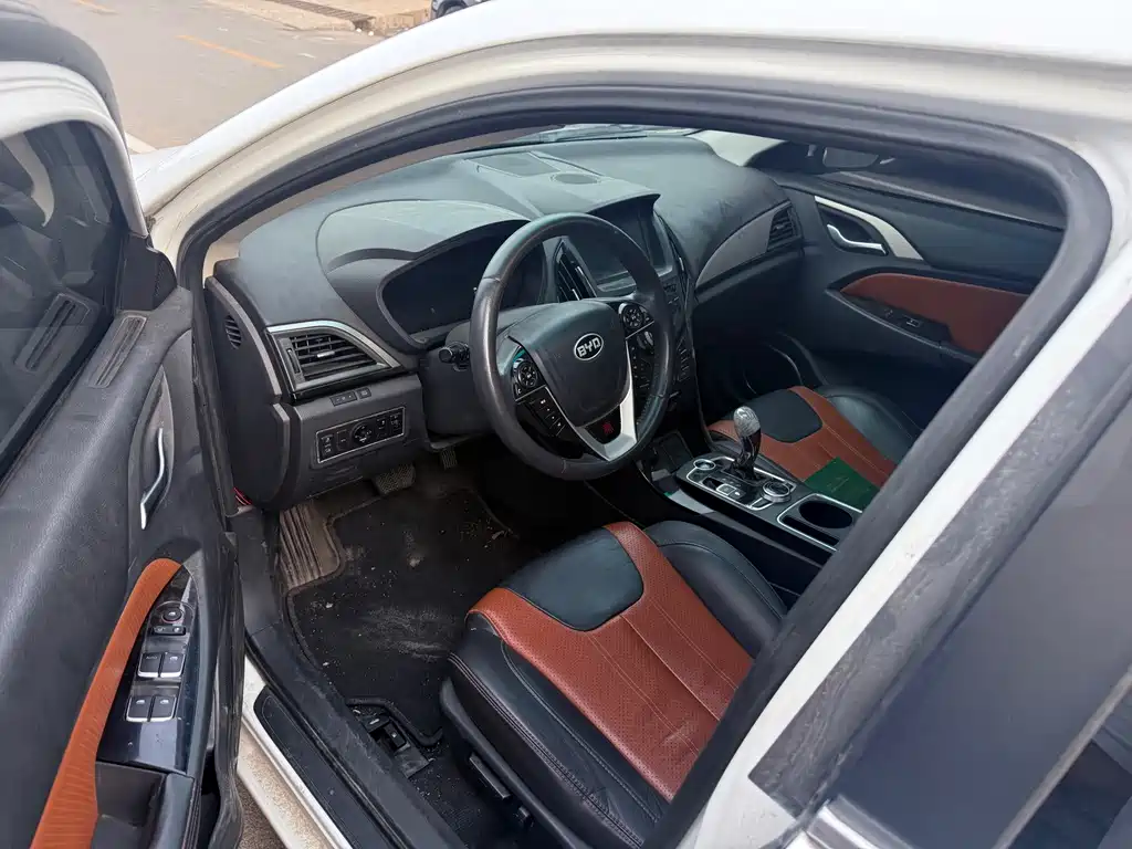 Qin NEV 1.5 T Dual Crown Flagship