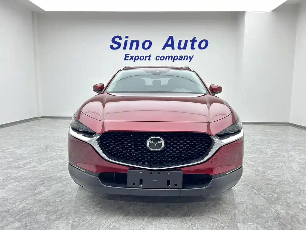 Mazda CX-30 2.0 L Auto Shine Joy