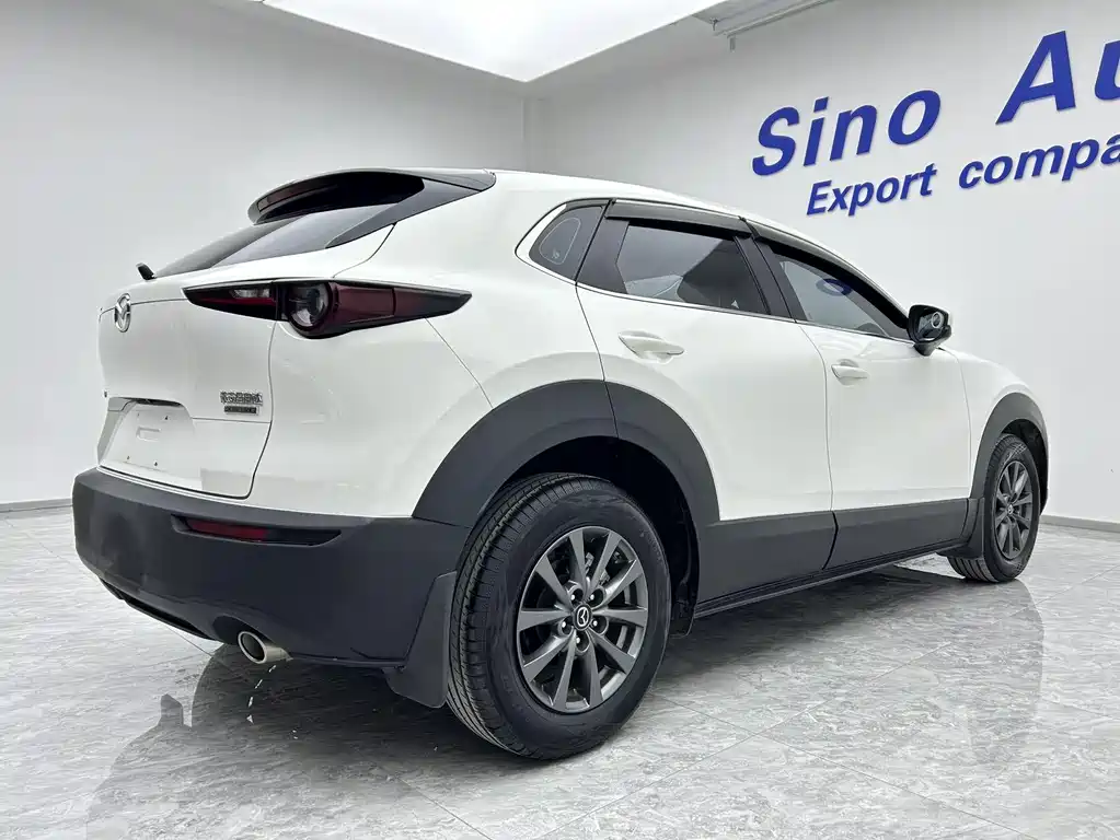 Mazda CX-30 2.0 L Auto Style Joy