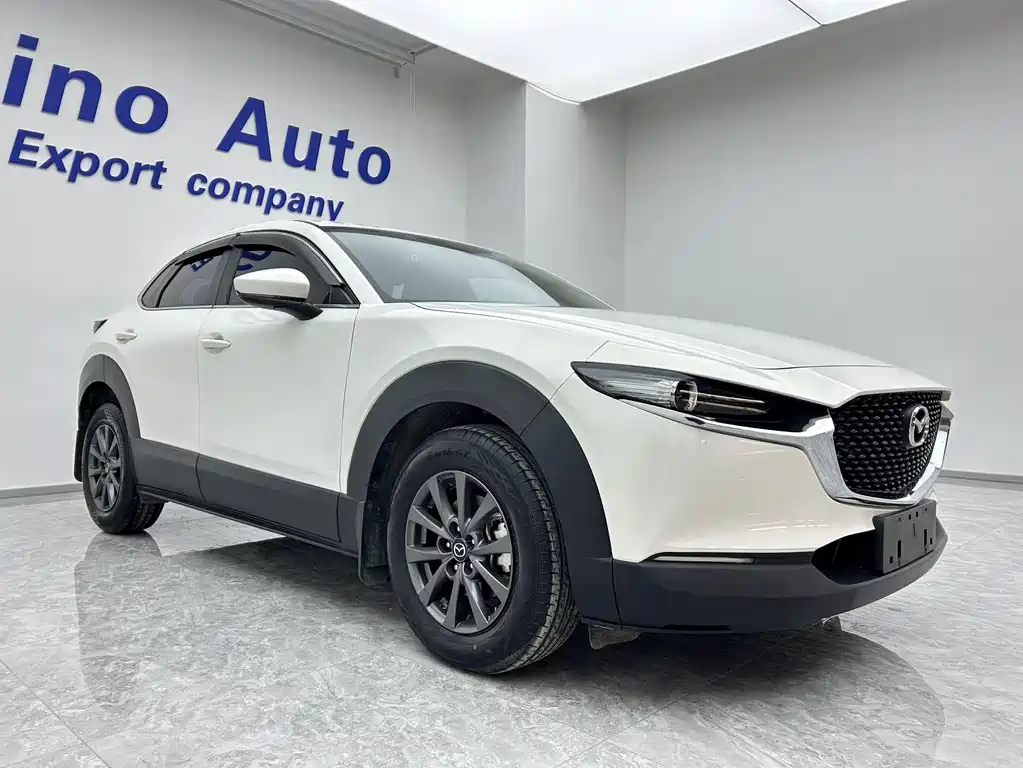 Mazda CX-30 2.0 L Auto Style Joy