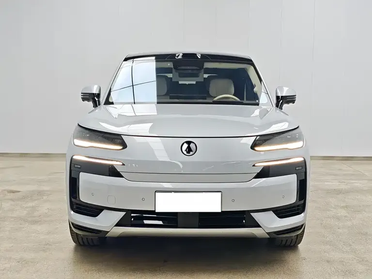 Denza N9 Flagship