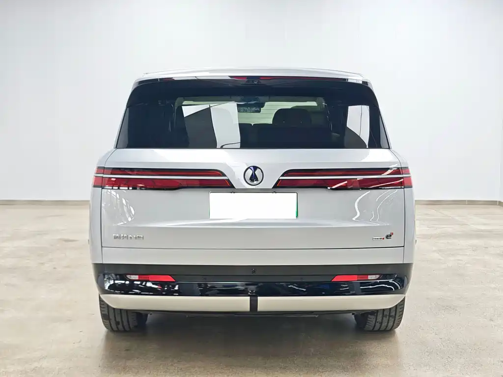 Denza N9 Flagship