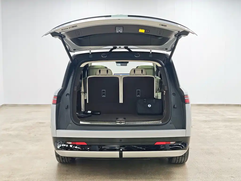Denza N9 Flagship