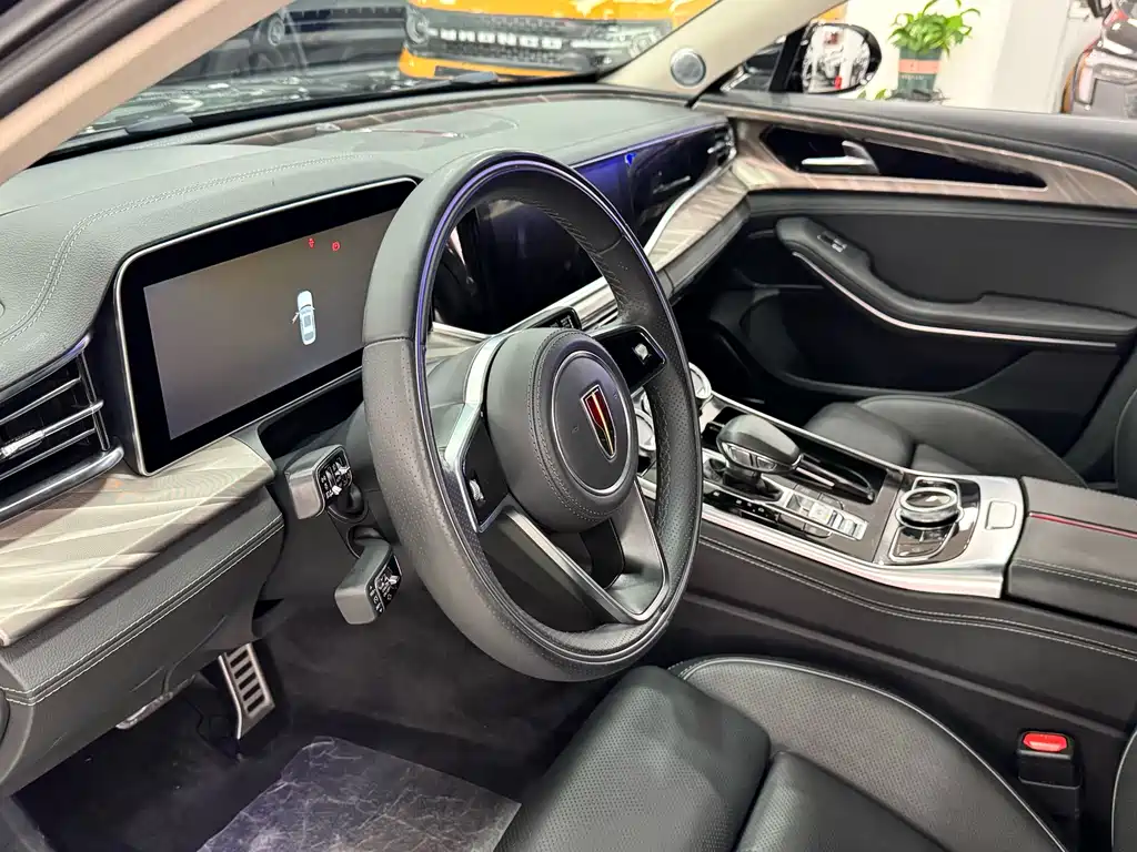 Hongqi H9 2.0 T Connected Flagship Enjoyment
