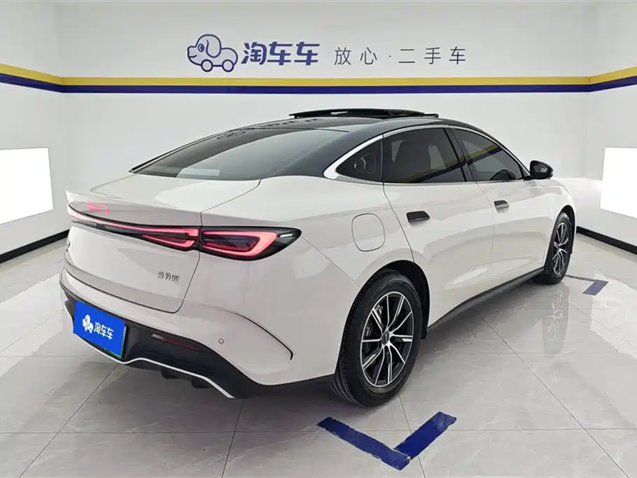 Seal 06 DM-i 120 KM Premium