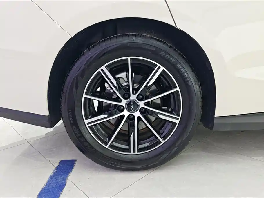 Seal 06 DM-i 120 KM Premium