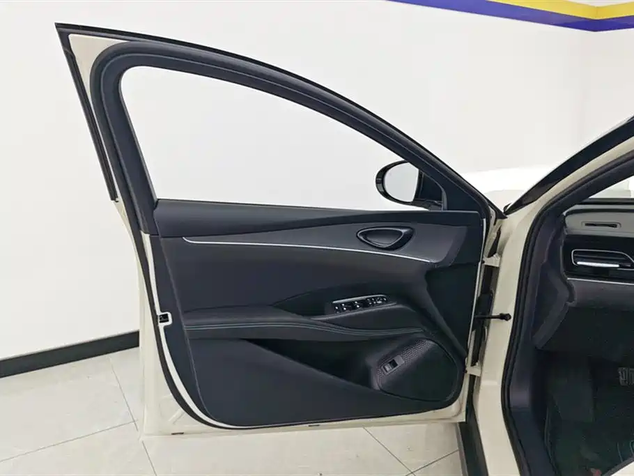 Seal 06 DM-i 120 KM Premium
