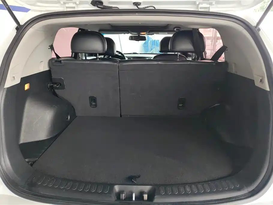 Sportage 2.0 L Auto 2 WD DLX