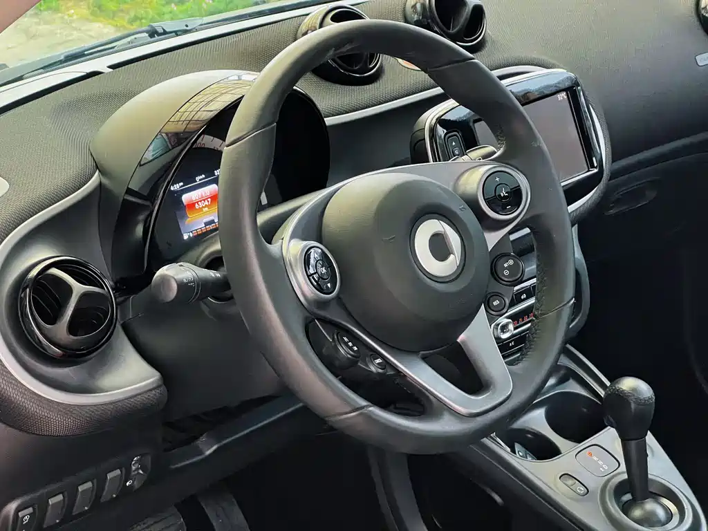 smart fortwo 1.0 L Special Edition