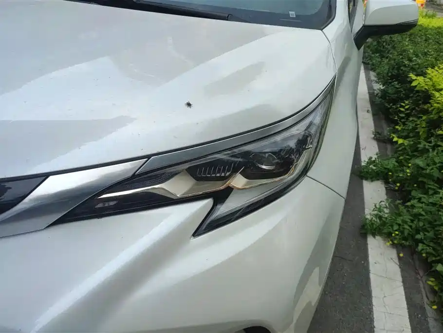 Granvia 2.5 L Hybrid Luxury