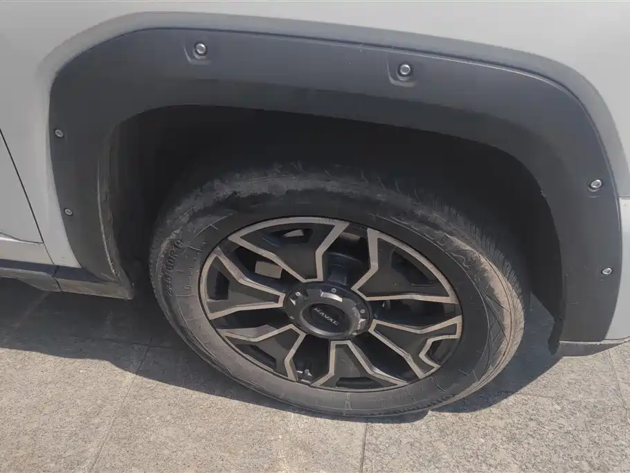 Haval Dargo PLUS NEV DHT-PHEV 105 km Trend Electric Plus
