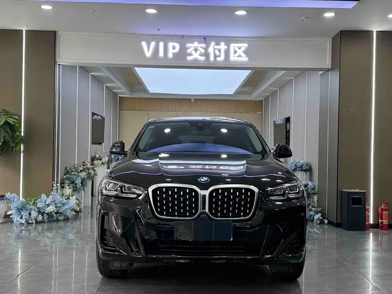 BMW X4 xDrive 25 i M Sport Package