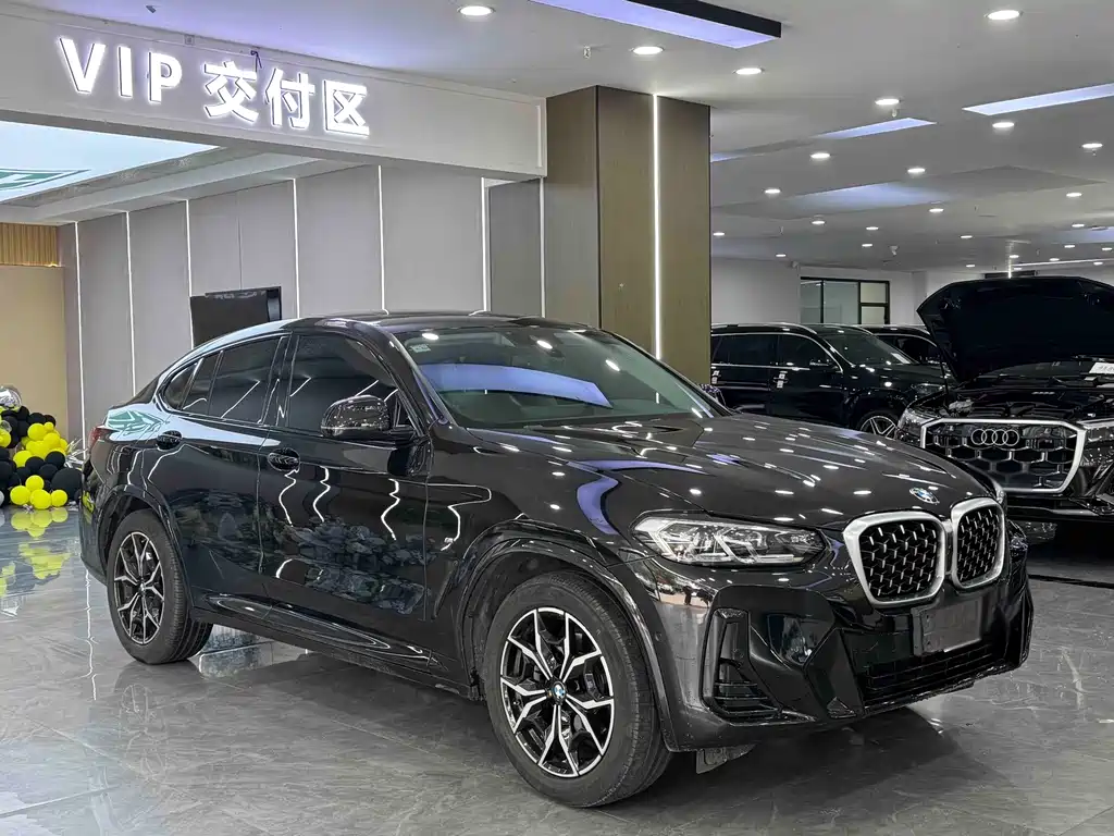 BMW X4 xDrive 25 i M Sport Package