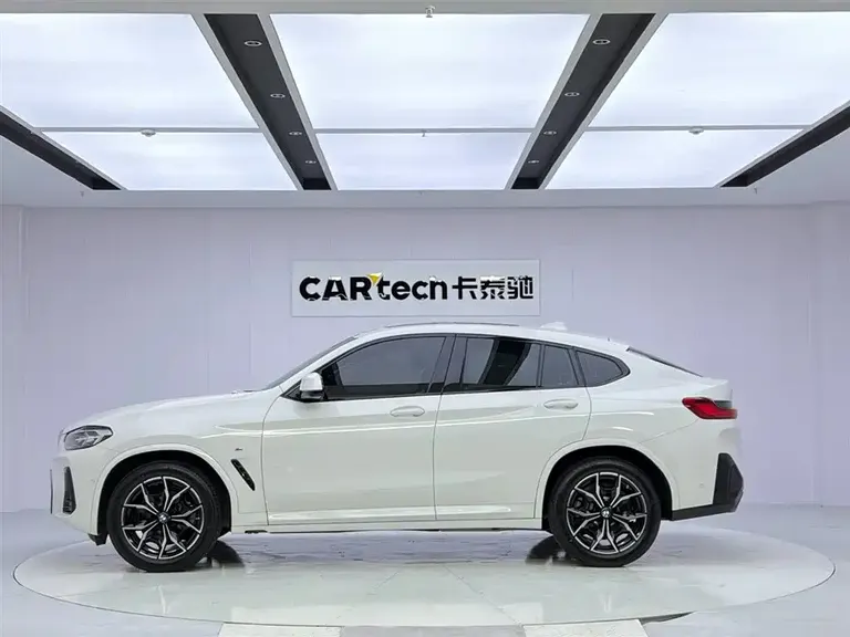 BMW X4 xDrive 25 i M Sport Package