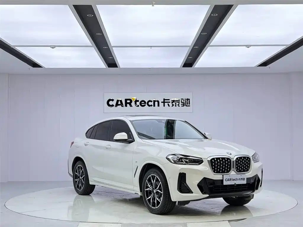 BMW X4 xDrive 25 i M Sport Package