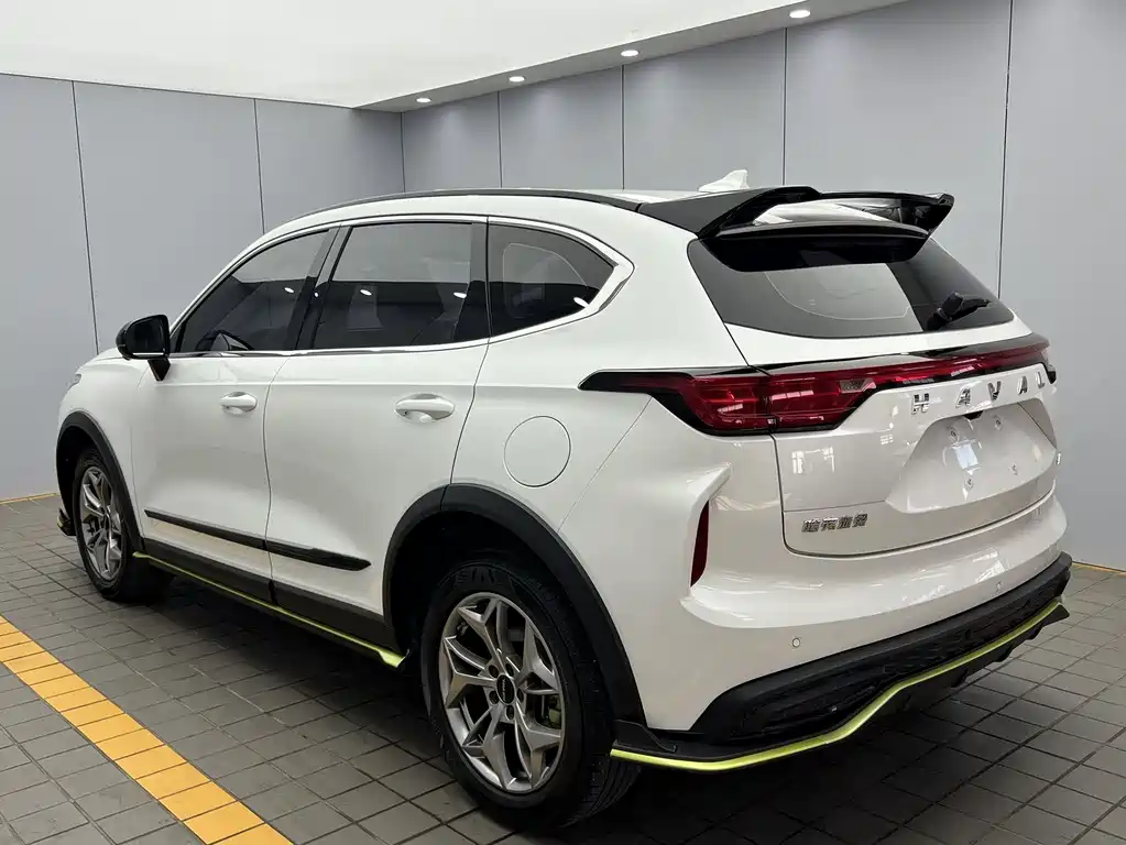 Haval Chitu Power Enjoyment 1.5 T Bronze Rabbit