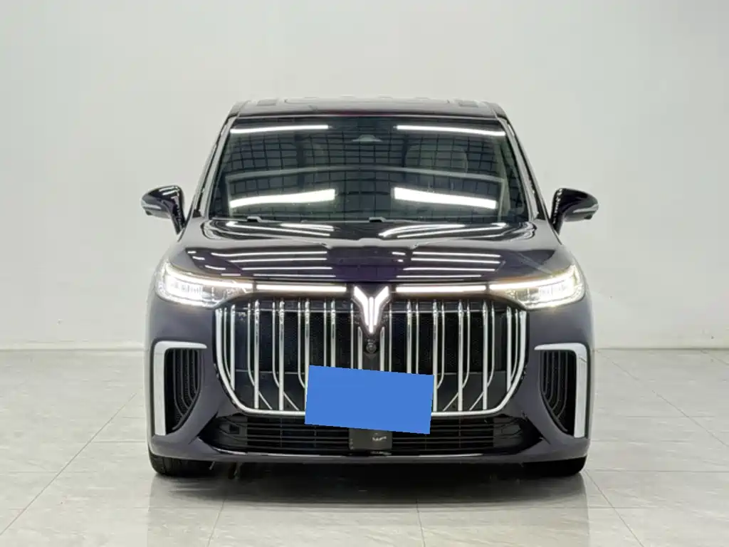 Voyah Dreamer PHEV Ultra Long Range Flagship
