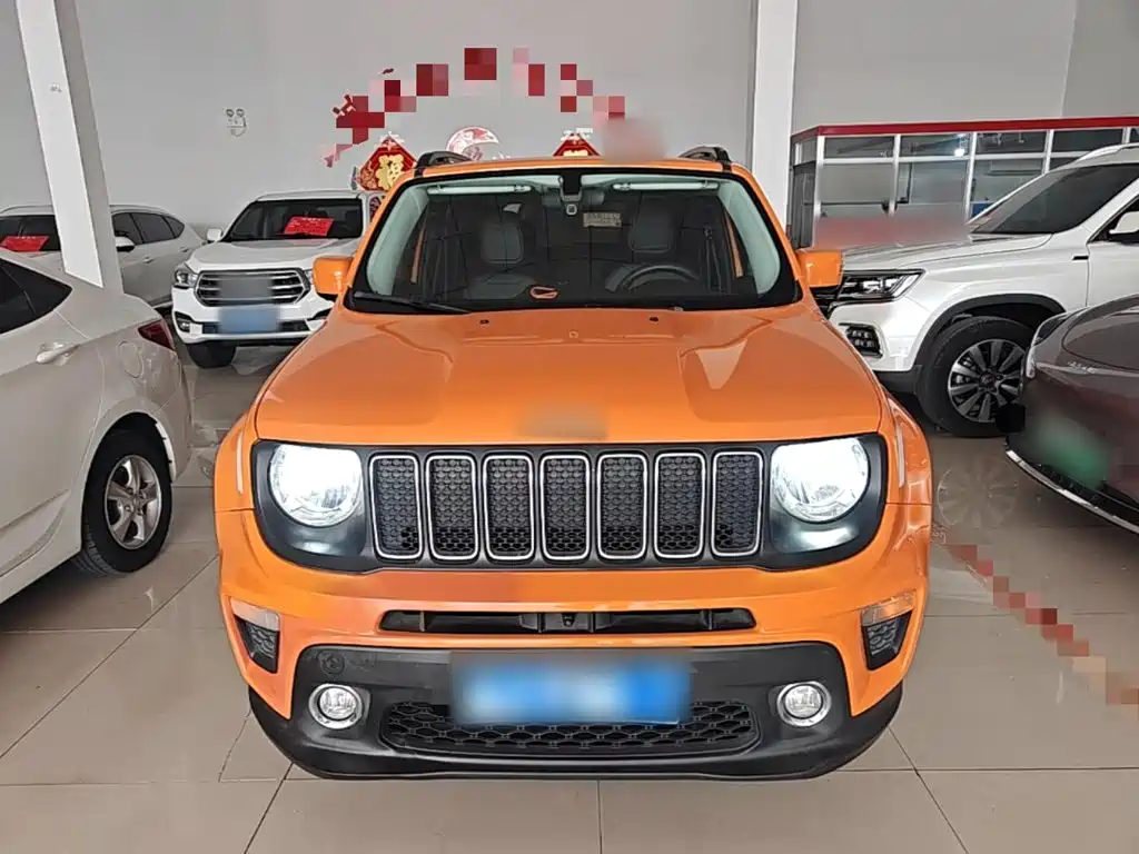 Renegade 220 T Auto Leading