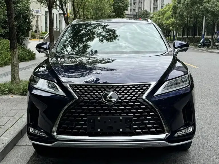 Lexus RX 300 4 WD Elegant CN-VI